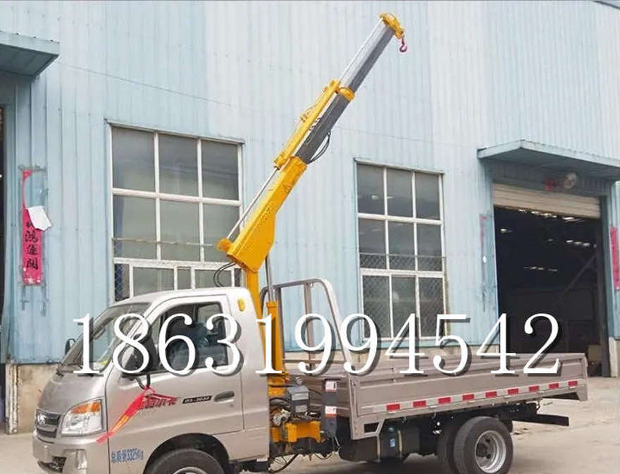 邛崃市车载吊机悬臂吊机车载吊机移动220伏家用吊机液压起重机小型搬运